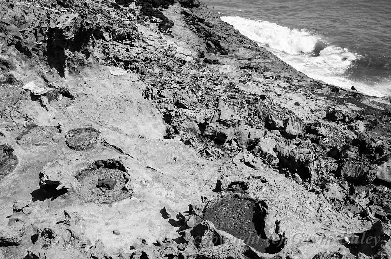 Petrified forest, Cape Bridgewater IMGP4772.jpg